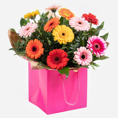 Splash of Colour - A vibrant gerbera posy hand-tied featuring a mix of colours carefully selected by the local florist. Hand-delivered in a gift bag or box.